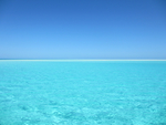 海水
