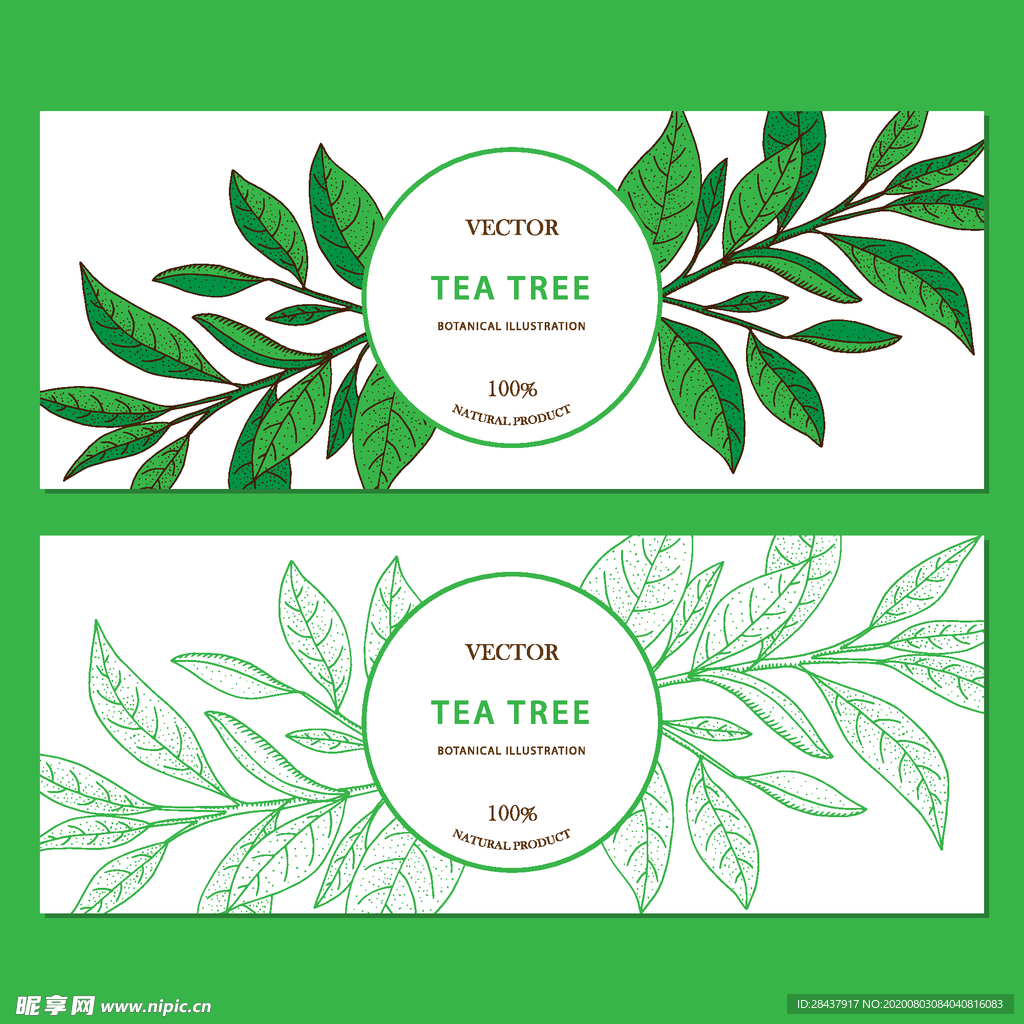 矢量横幅素材