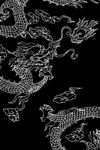 龙