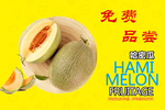 哈密瓜