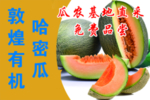 哈密瓜