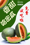 哈密瓜