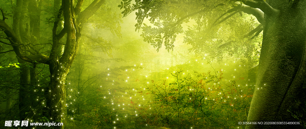 森林梦幻童话清新背景素材