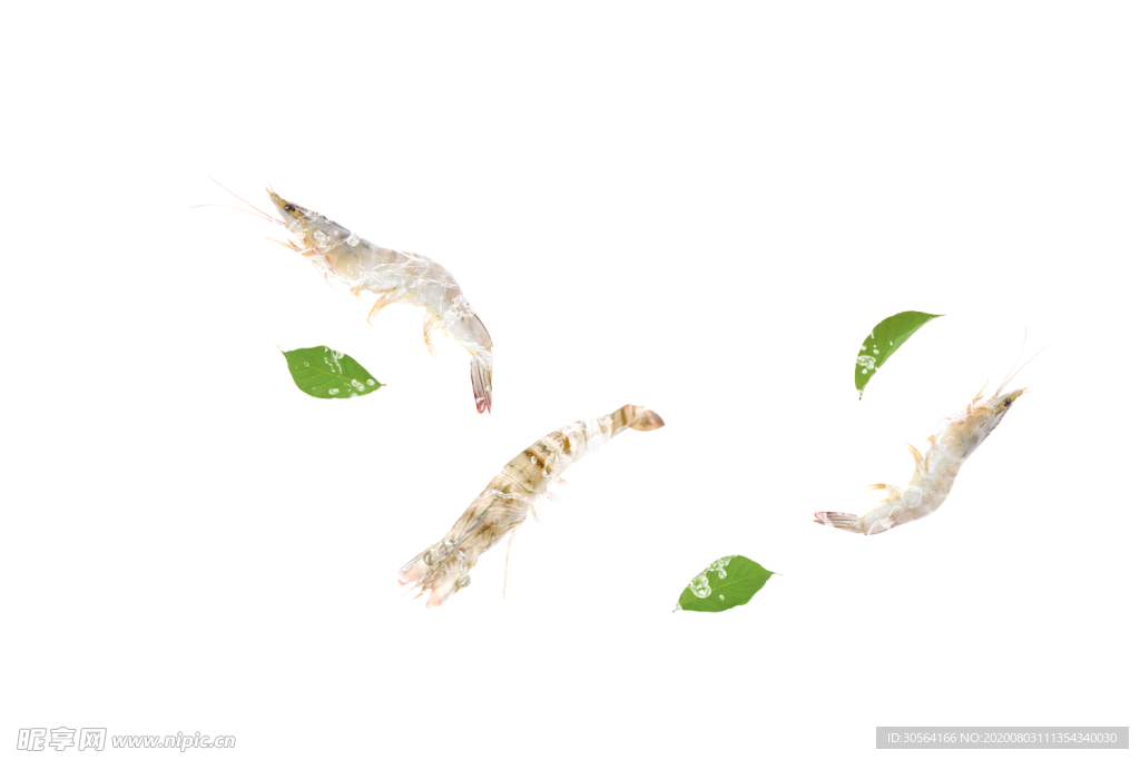 基围虾水流清洗海报背景素材