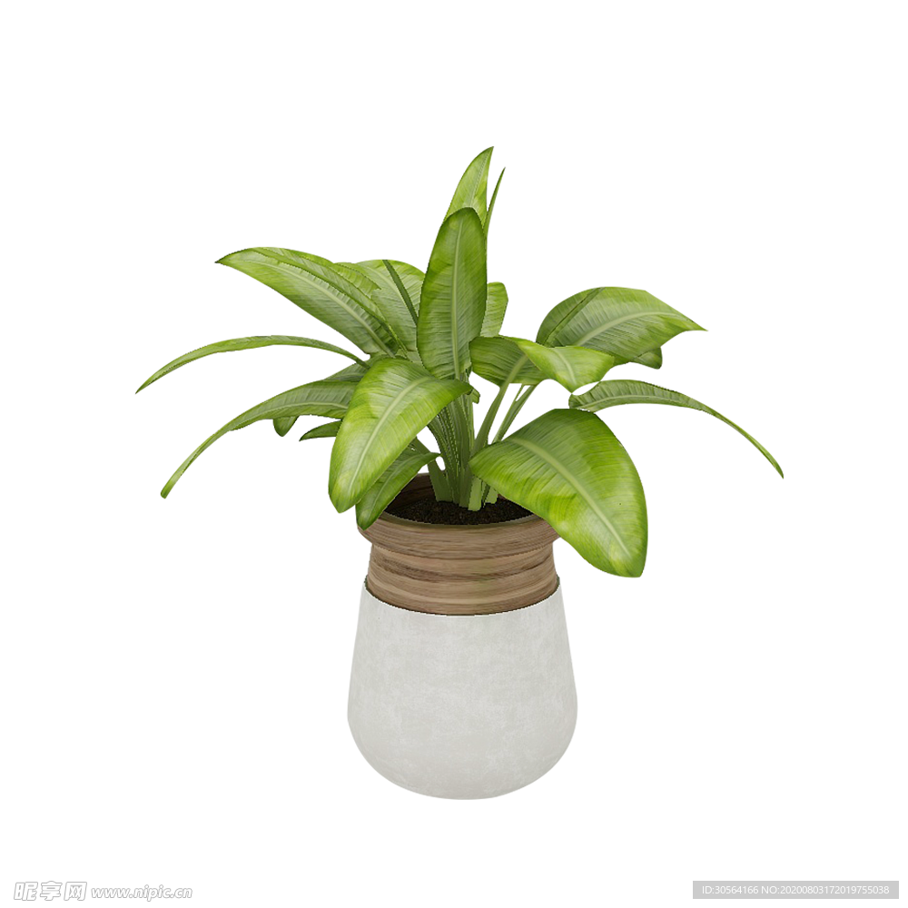 植物绿植水培装饰背景海报素材