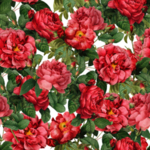 无缝花纹