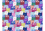 猫各种组合图