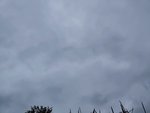 田野的天空