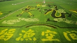 稻渔空间