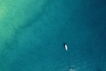 大海图片
