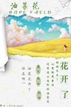 夏天来了