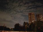 夜