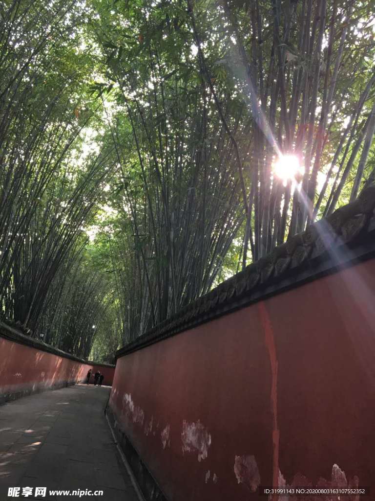 竹林