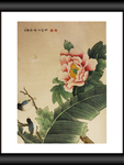 花鸟