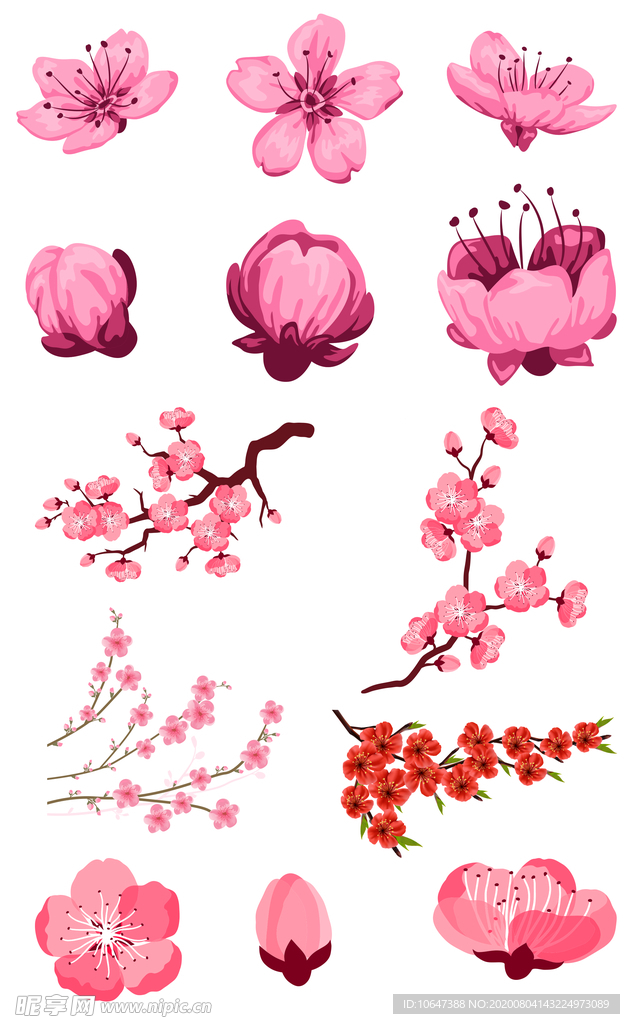 桃花