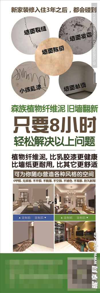 森族 硅藻泥