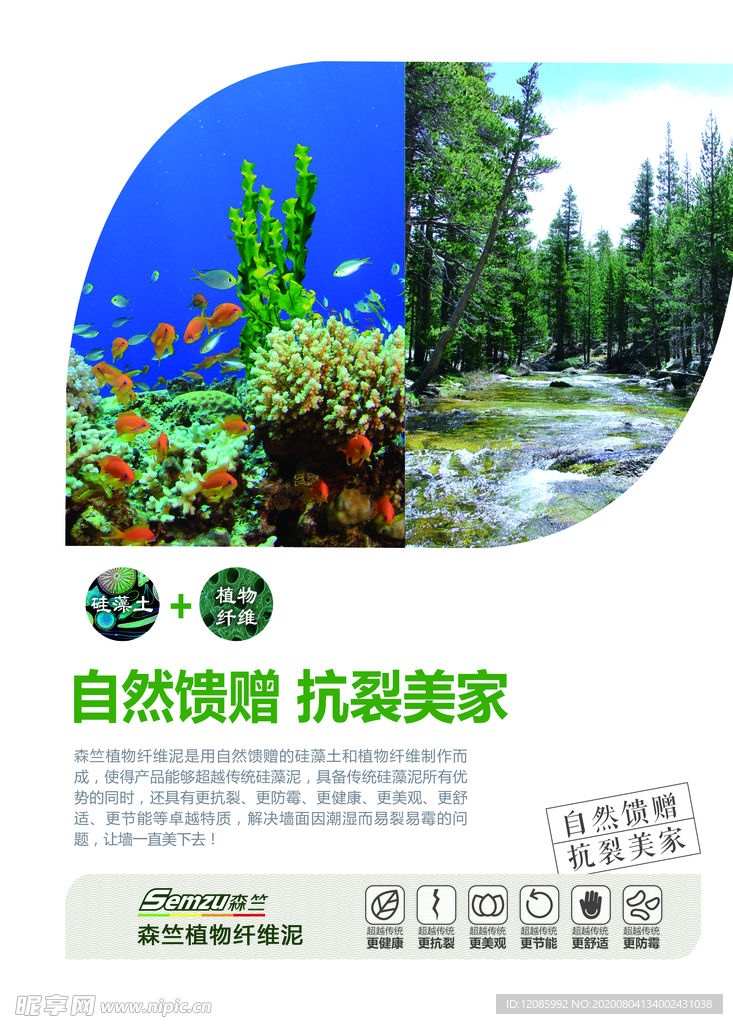 森族硅藻泥