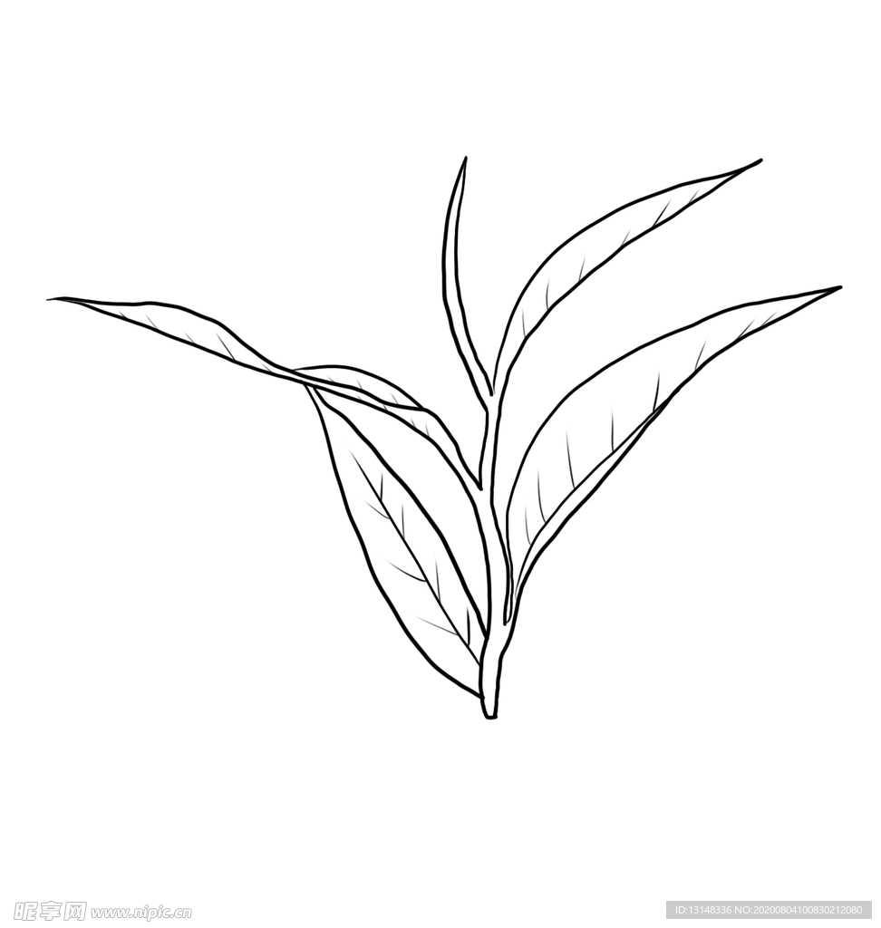 茶叶