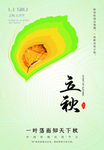 立秋插画