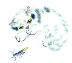 中国国画篇 猫
