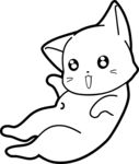 猫