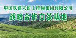 中国铁建大桥工程局集团有限公司