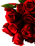 玫瑰花