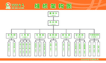 组织架构图