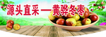 黄骅冬枣