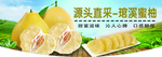 琯溪蜜柚