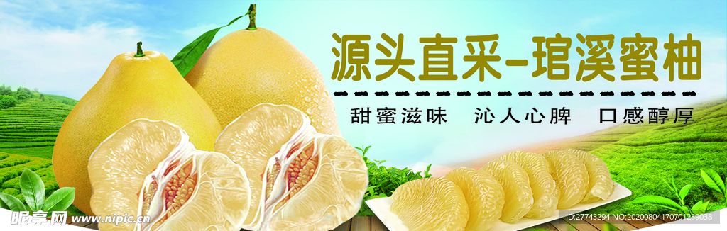 琯溪蜜柚