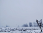 下雪天