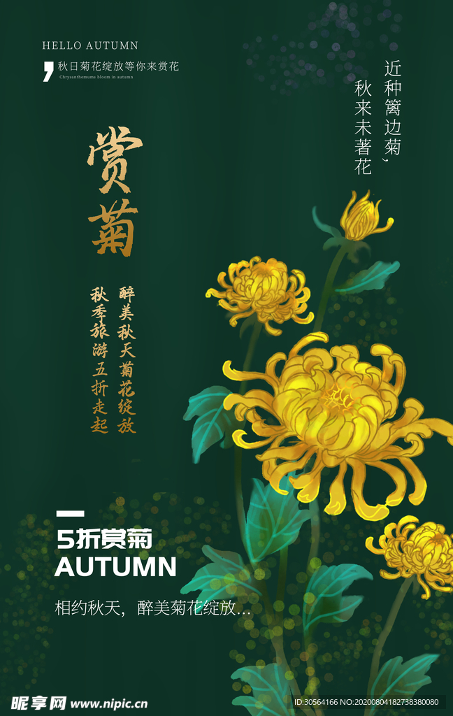 赏菊花朵传统国风海报素材