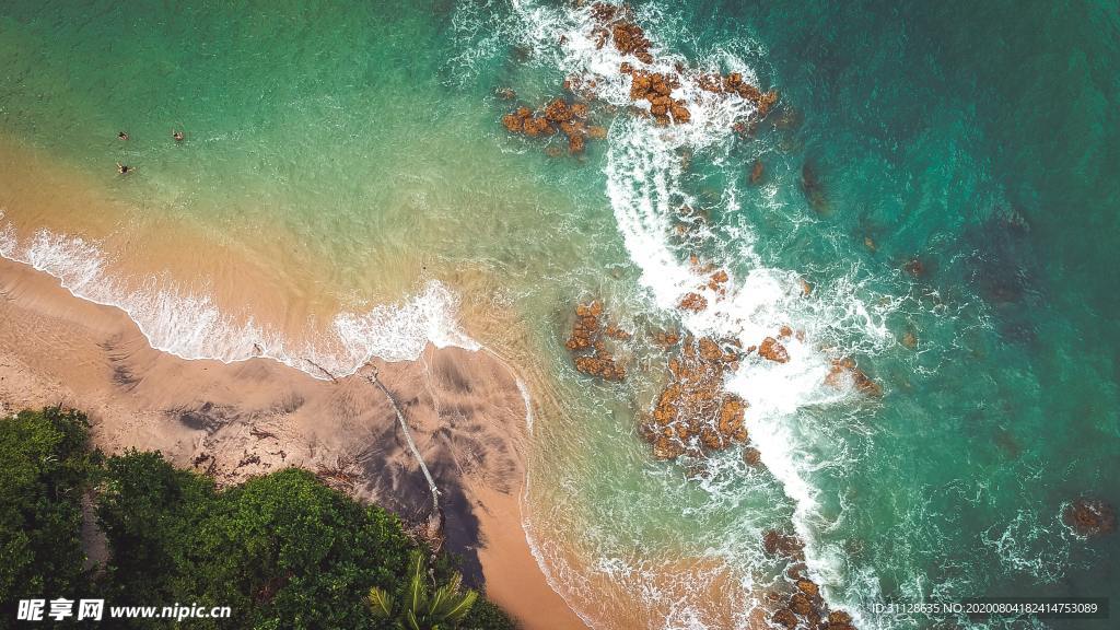 海洋