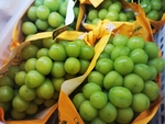 阳光玫瑰
