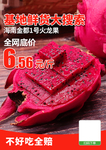 火龙果海报宣传