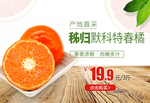 秭归默科特春橘促销banner