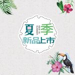 夏季新品上市