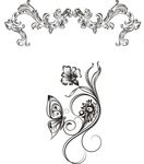 花纹 花边