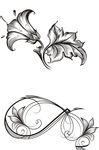 花纹 花边