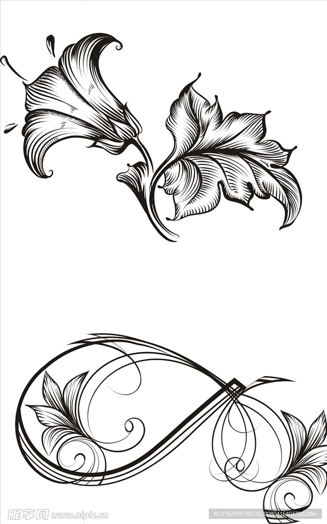 花纹 花边