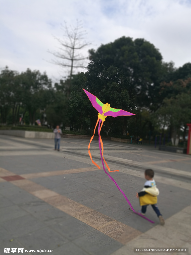 放风筝 火凤凰 放飞 自由