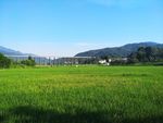 田园风光