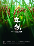 立秋