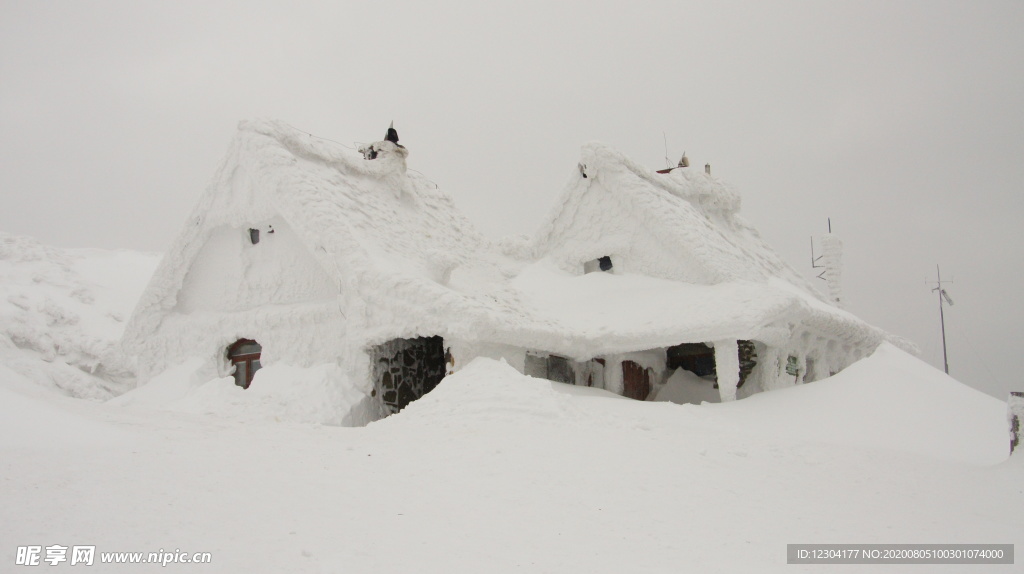 雪地