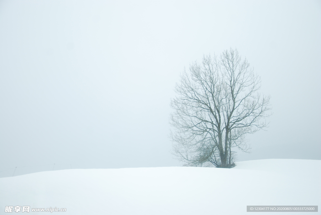 雪地
