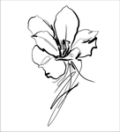 花