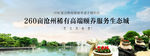 地产湖景生态高端豪宅洋房海报
