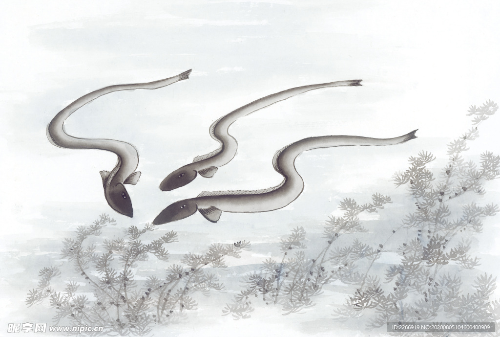 中国国画篇 水生物