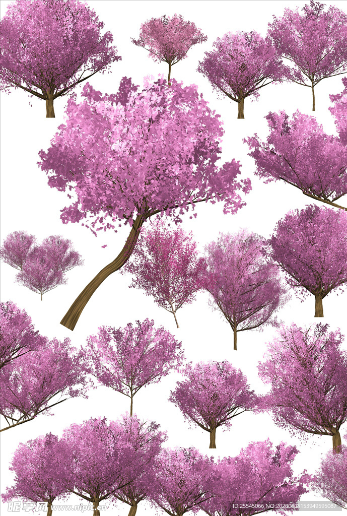 樱花树 植物 樱花 景观素材